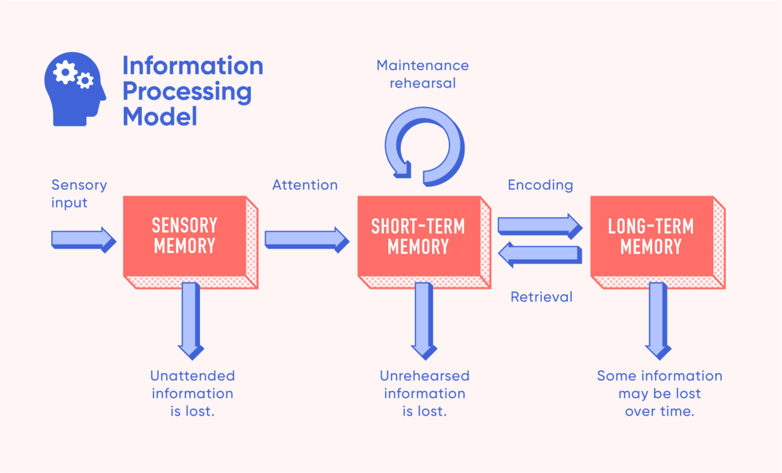 Information Processing Model